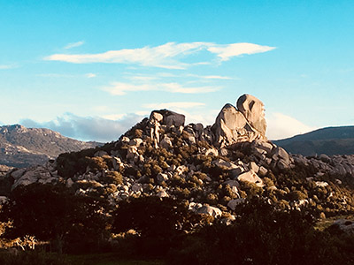 sardinia noiret
